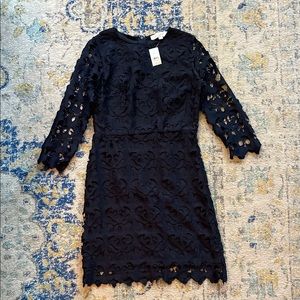 Loft navy lace dress